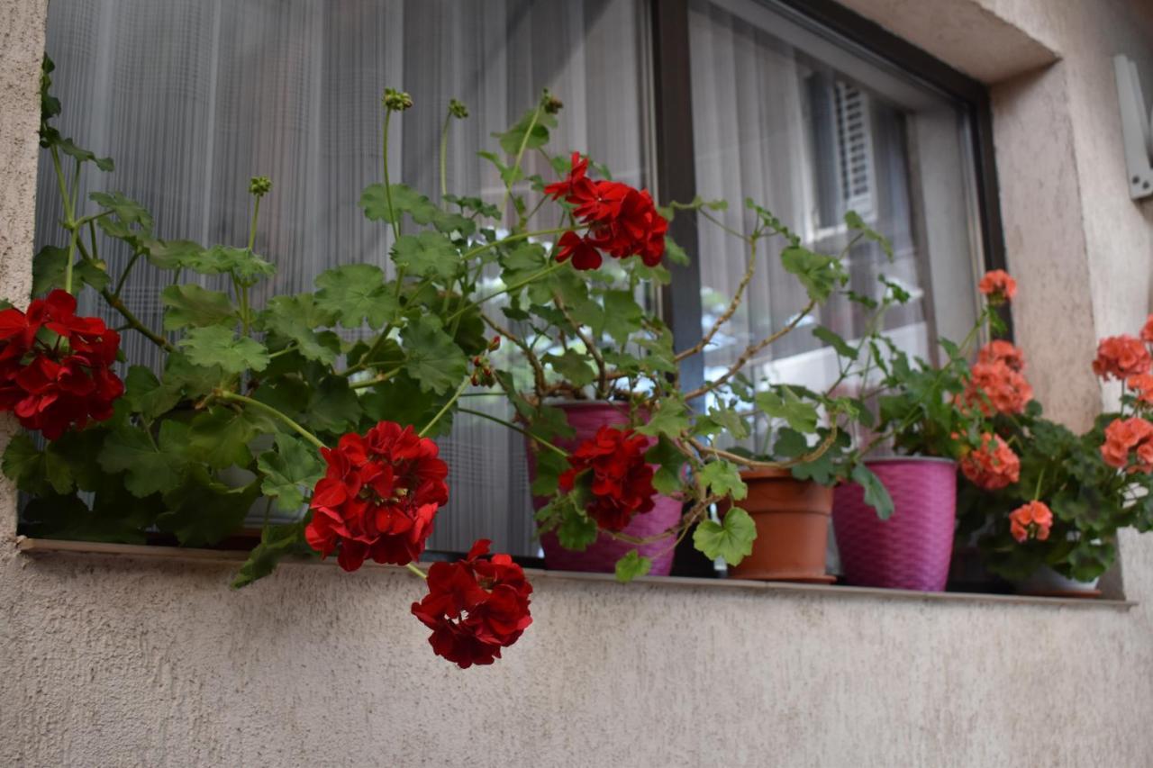 Vila Maricris Tuzla Εξωτερικό φωτογραφία